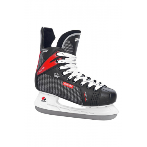 Boston Hokey Pateni