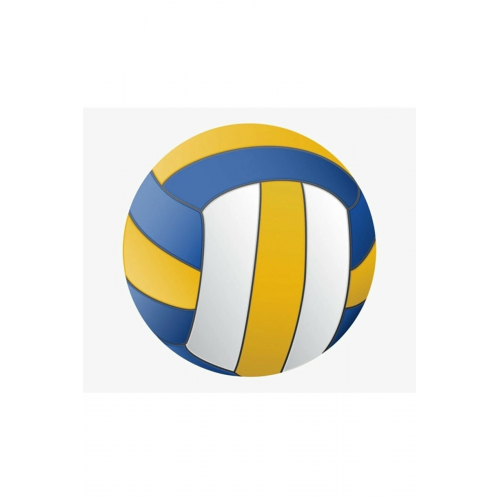 Kauçuk Şişirilebilir Profesyonel Voleybol Topu