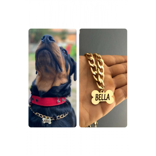 Isimli Köpek Tasması Köpek Isimlik Künye Zincir Paslanmaz