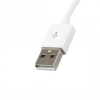 Codegen Cdg-cnv42 Usb 2.0 10/100 Rj45 Ethernet Çevirici Adaptör