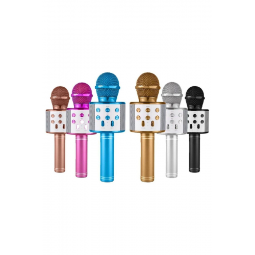 Karaoke Mikrofon WS-858