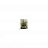 Roberto Cavalli Paradise Found Women Edp 75 ml Kadın Parfümü