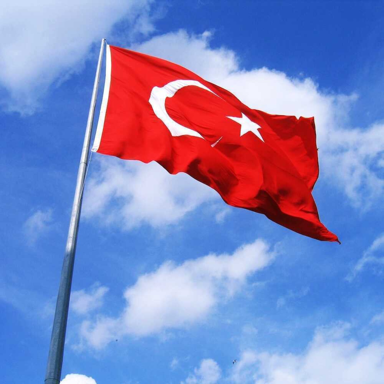 Kumaş Türk Bayrağı 60x90