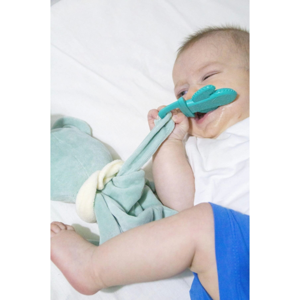 Yeşil Diş Kaşıyıcı Uyku Arkadaşım