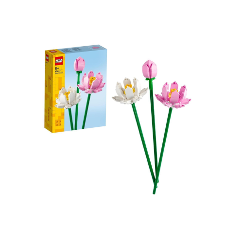 Lotus Çiçekleri 40647