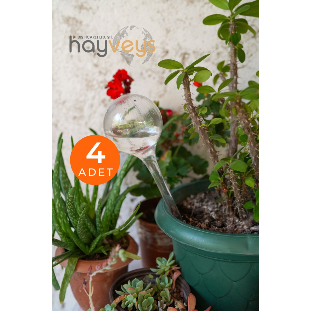 4 Adet Çiçek Bitki Sulama Saksı Suluğu Aparatı Otomatik Ve Kontrollü Sulama