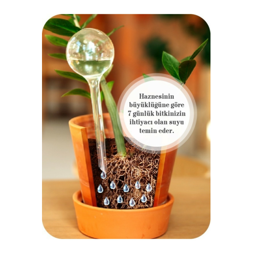 Plastik, 2 Adet Saksı Suluğu, Çiçek Sulama Aparatı