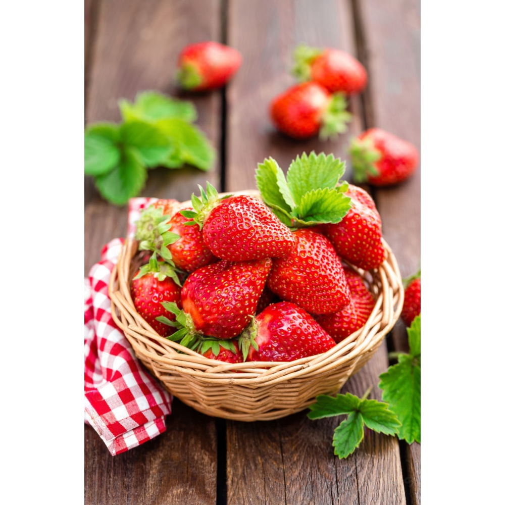 3 Adet Albion Çilek Fidesi Yediveren 9x7 Cm Renkli Saksılı