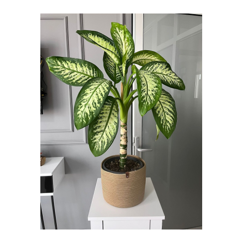 Hasır Saksılık, Çok Amaçlı Hasır Sepet, Bahçe Düzenleyici 22x20