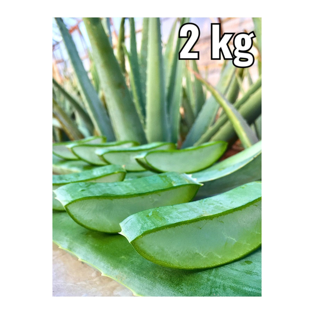 Aleovera Jel, Leke Karşıtı, Sıkılaştırıcı, Alovera Jel Için 2 Kg Doğal Aloe Vera Yaprak