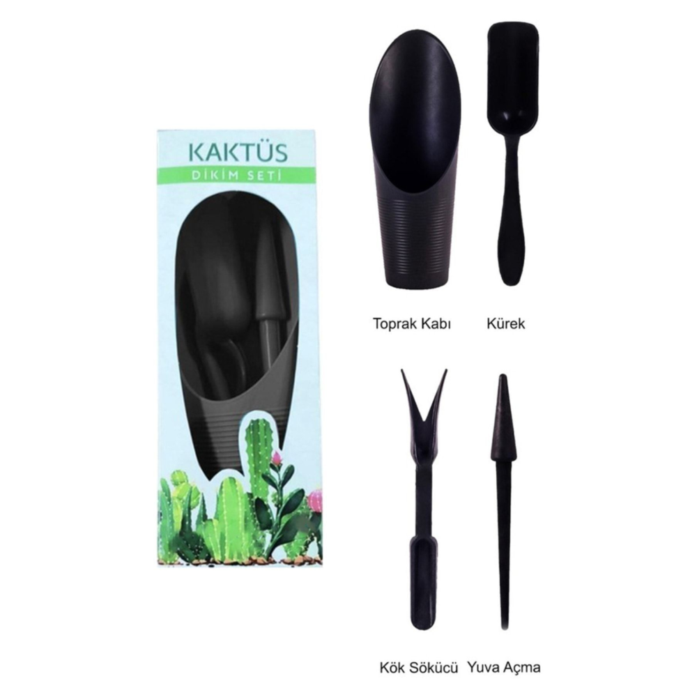 4 Parça Mini Kaktüs Dikim Seti - Kaktüs Dikim Seti Antrasit Renk