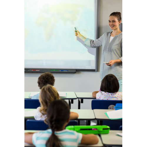 Projeksiyon Perdesi 100x150cm