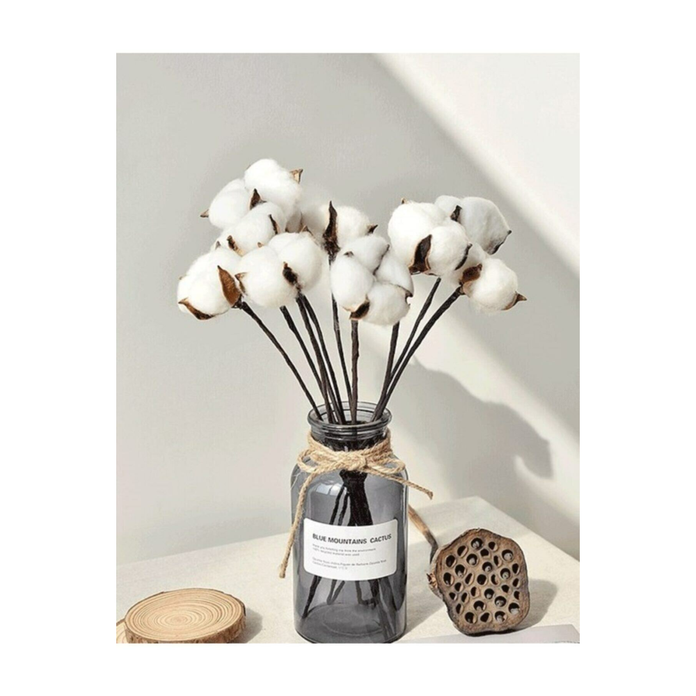 Beyaz Doğal Pamuk Dalları 6 Adet