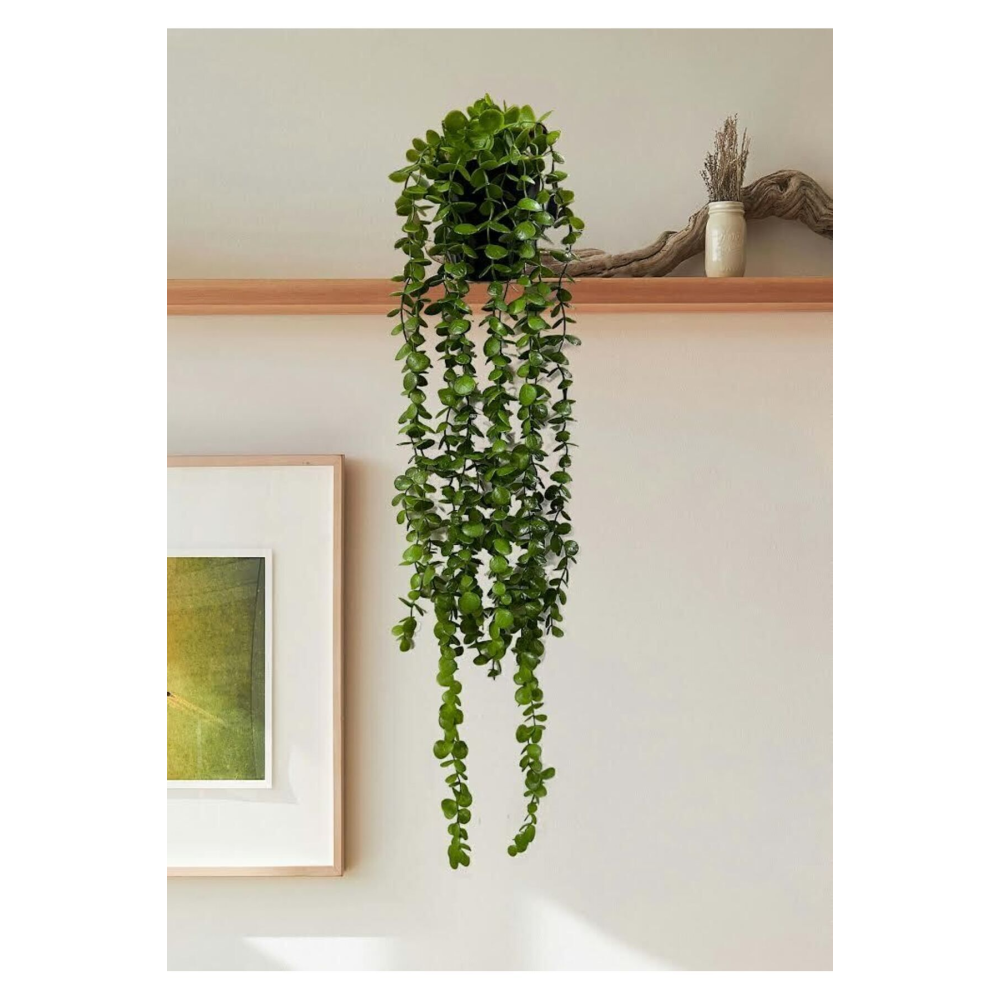 Yapay Çiçek Elmas Saksıda 80 Cm Yoğun Yapraklı Koyu Yeşil Okaliptus Sarkıt