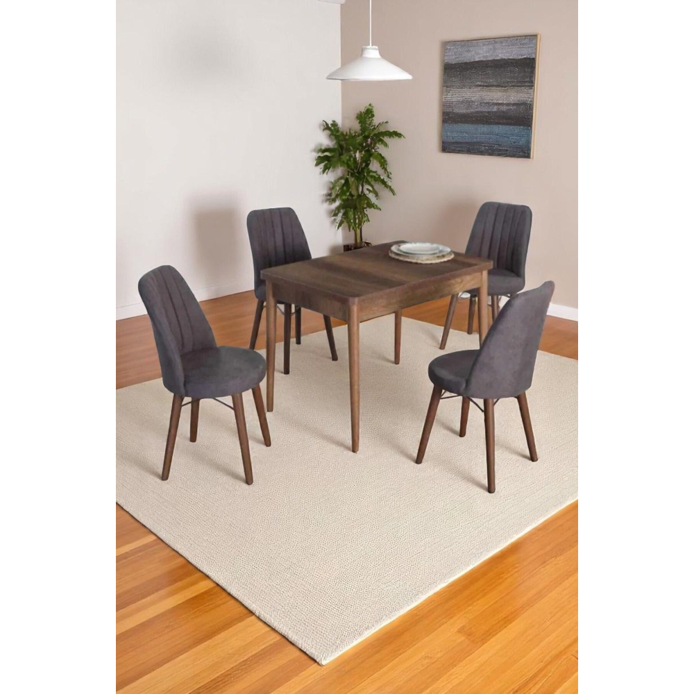 4 Kişilik Sabit Masa Sandalye Takımı 70x110 Cm Mutfak Masası Takımı Yemek Masası Masa Takımı