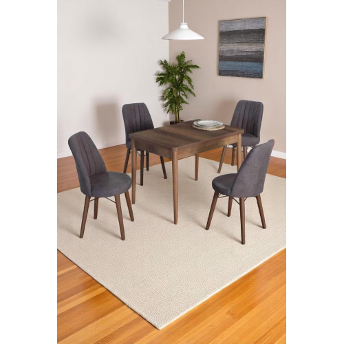 4 Kişilik Sabit Masa Sandalye Takımı 70x110 Cm Mutfak Masası Takımı Yemek Masası Masa Takımı