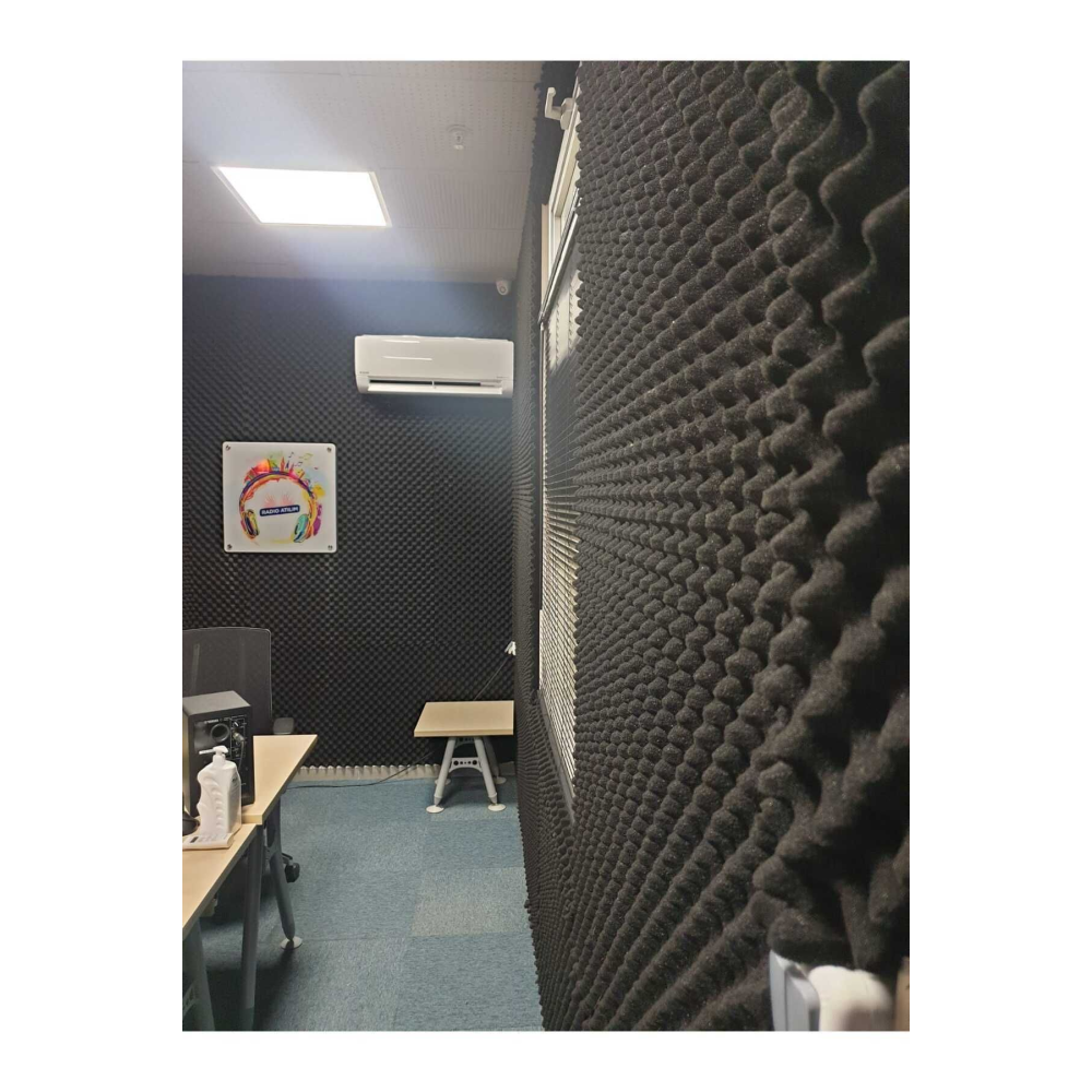 Akustik Yumurta Sünger 30mm 100x100cm 50dns