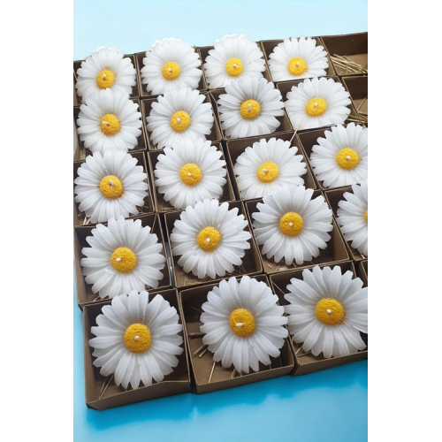 Mum Palace 8 Adet Kraft Kutulu Papatya Mum Etiketsiz