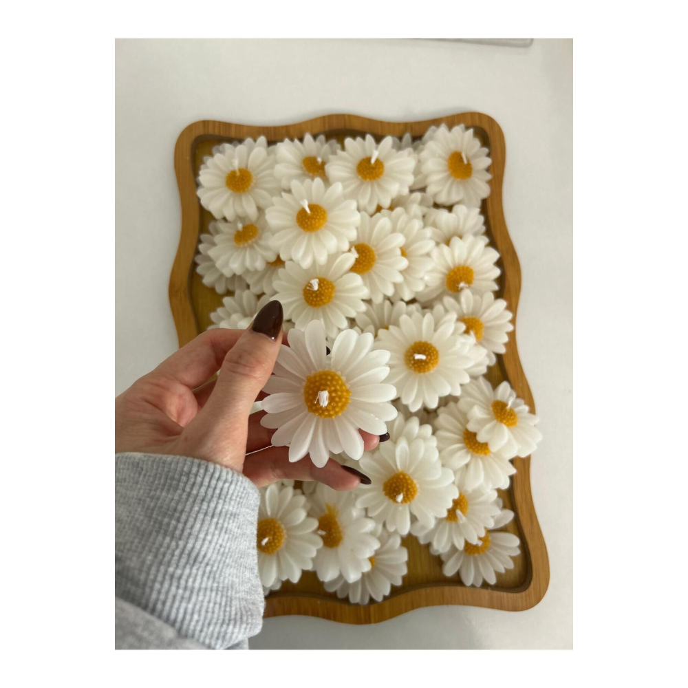 Palace 10 Adet Papatya , Nikah Şekeri, Doğum, Sünnet, Düğün Nişan Söz, Kına, Doğum Günü.