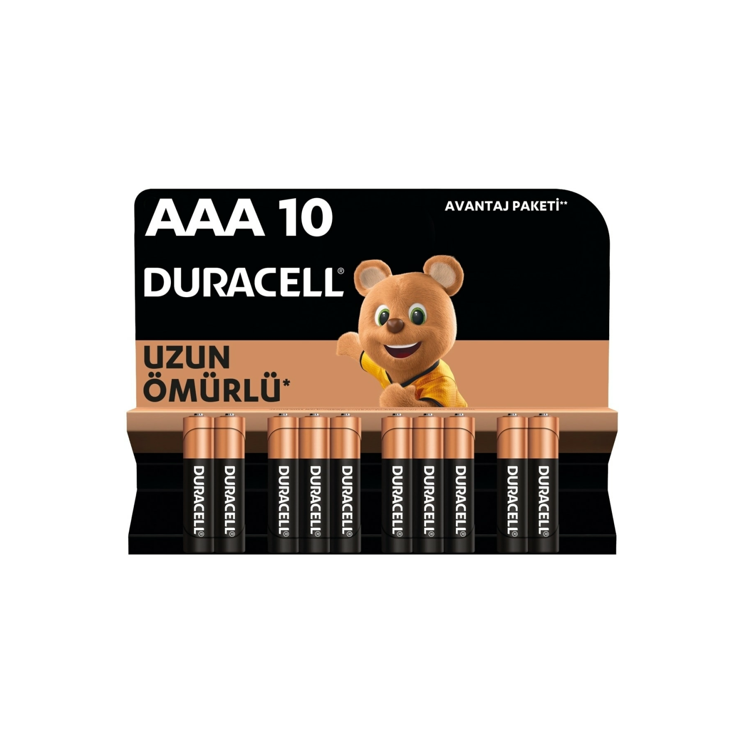 Basic Aaa Alkalin Ince Kalem Piller, 1,5 V Lr03/mn2400 10’lu