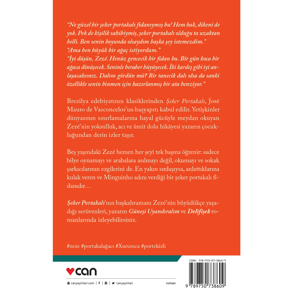 Şeker Portakalı Jose Mauro De Vasconcelos