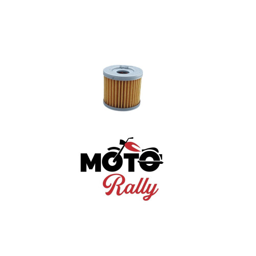 Tvs Apache Rtr 200 Yağ Filtre