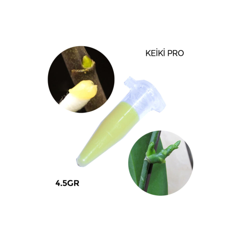 Keiki Pro Orkide/yılbaşı/atlas Çiçeği Çoğaltma Yetiştirme Macunu Vazelin Ithal 4.5gr