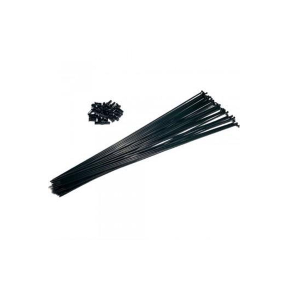 Bisiklet Jant Teli 2mm X 280 [36 Adet] Çift Kat Jantlar [siyah]