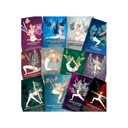 80 Yoga Kartları Destesi