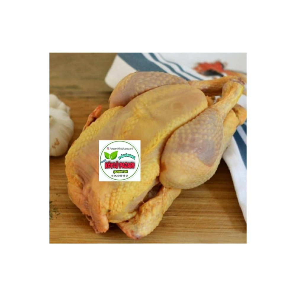 3 Adet Serbest Gezen Köy Tavuğu