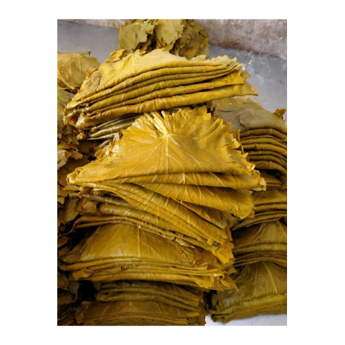 İnce Yaprak Sarımlı Asma Üzüm Yaprağı 5 Kg