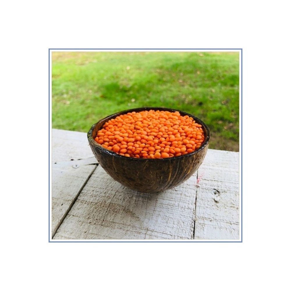 Kırmızı Köy Mercimeği (1000 GR.)