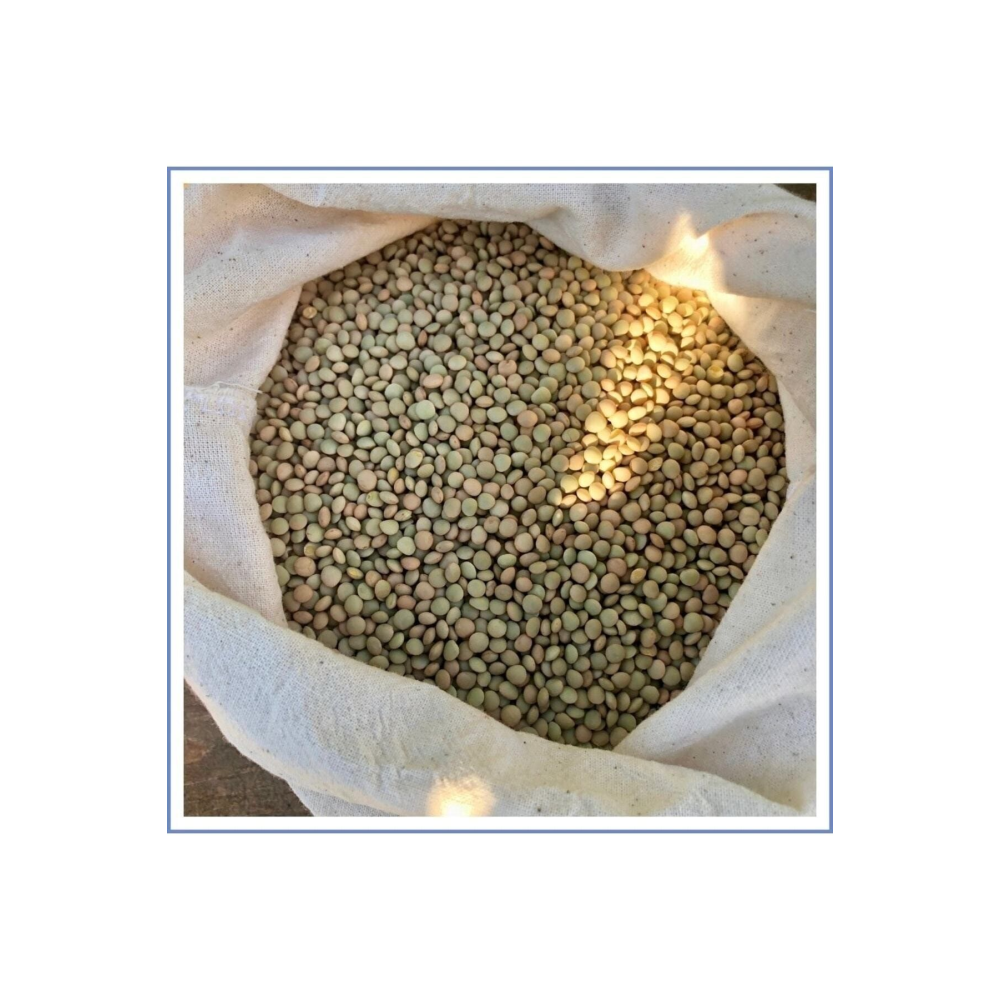 Yeşil Köy Mercimeği ( 1000 gr )