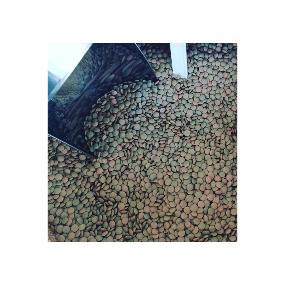 Yeşil Mercimek 3kg [ ( Köy Mahsulu )]