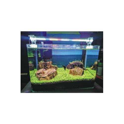 - Full Spectrum Bitkili Akvaryum Led Aydınlatma 4 Renk - 50cm