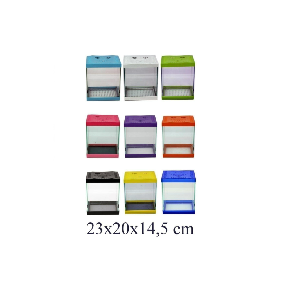 Ibrahimli Petshop Renkli Mini Akvaryum 23x20x14,5 Cm