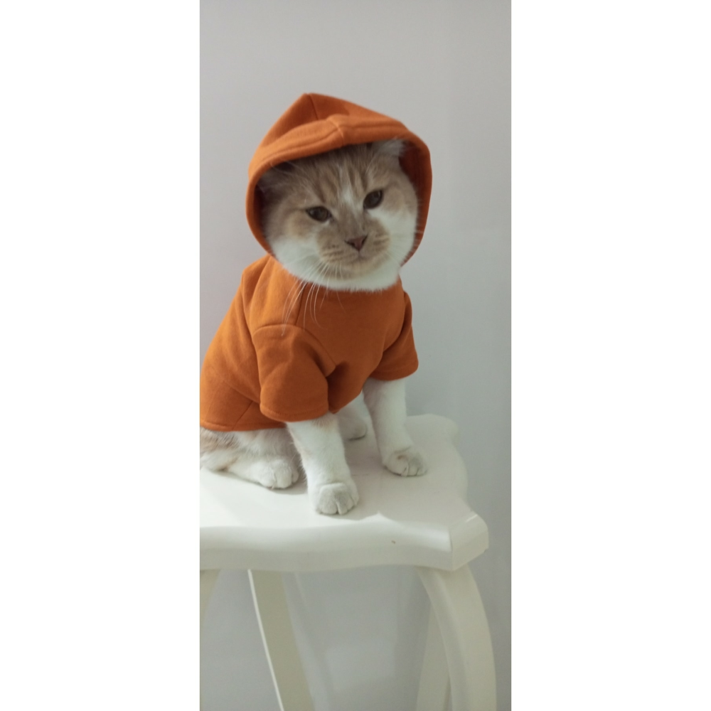 Tuğba Fashion Kışlık Yeni Sezon Kapşonlu Sweatshirt (M) Beden (2_4) Kg Için Uygundur