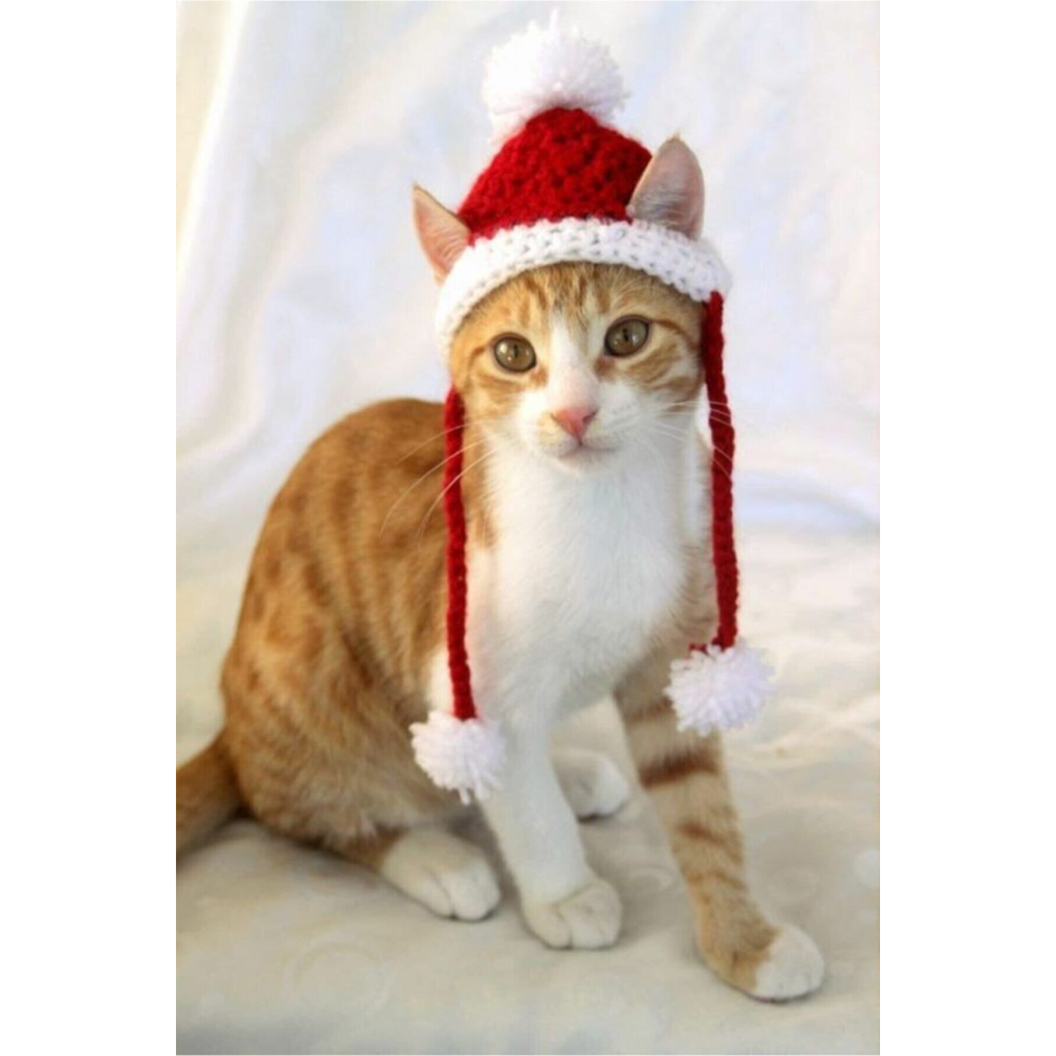 Yılbaşı ,büyük Boy Yetişkin Kedi Boy,noel Baba Kedi Şapkası & Kedi Kıyafeti ,ölçünüze Özel Üretim