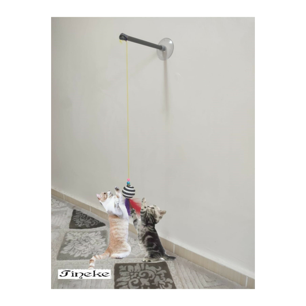 Vantuzlu Kedi Oltası Kedi Oyuncağı