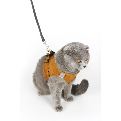 Kedi Gezdirme Tasması - Kedi Tasması Göğüs Tasma Seti Yumuşak Süet Kumaş Taba Renk