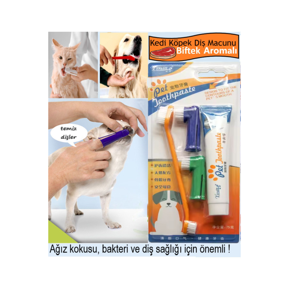 Kedi Köpek Diş Fırçası ve Diş Macunu Seti Yenilebilir Diş Macunu Dental Kit Ağız ve Diş Sağlık Seti
