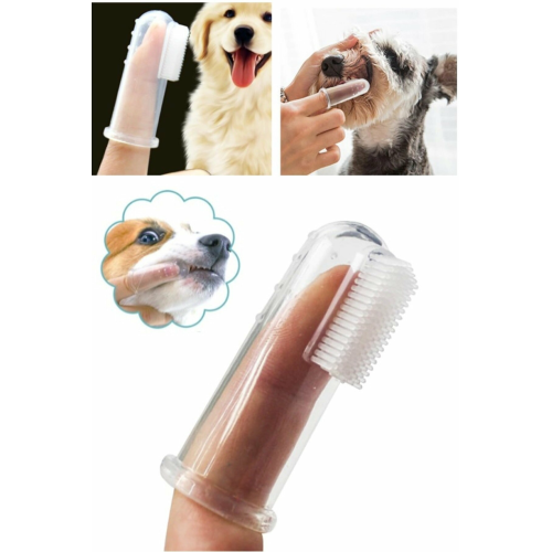 Kedi Ve Köpek Parmak Diş Fırçası Saklama Kutulu Kolay Kullanımlı Evcil Hayvan Diş Bakım Fırçası