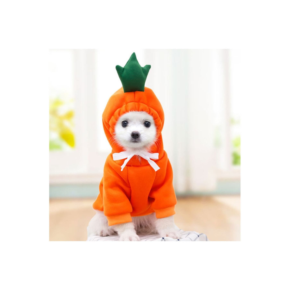 Turuncu Havuç Tasarımlı Kedi Köpek Kıyafeti Kapişonlu