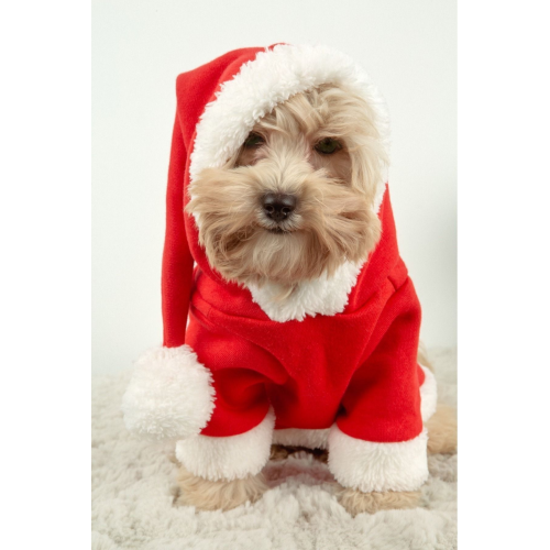 Yılbaşı Kıyafeti Elbisesi kıyafetleri - Kedi Ve Köpekler İçin Mutlu Noeller (NOEL)