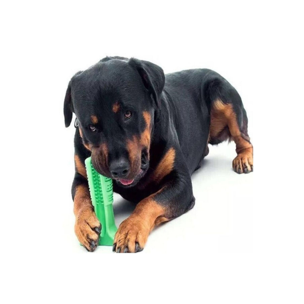 Köpek Diş Fırçası Isırma Aparatı Büyük Boy