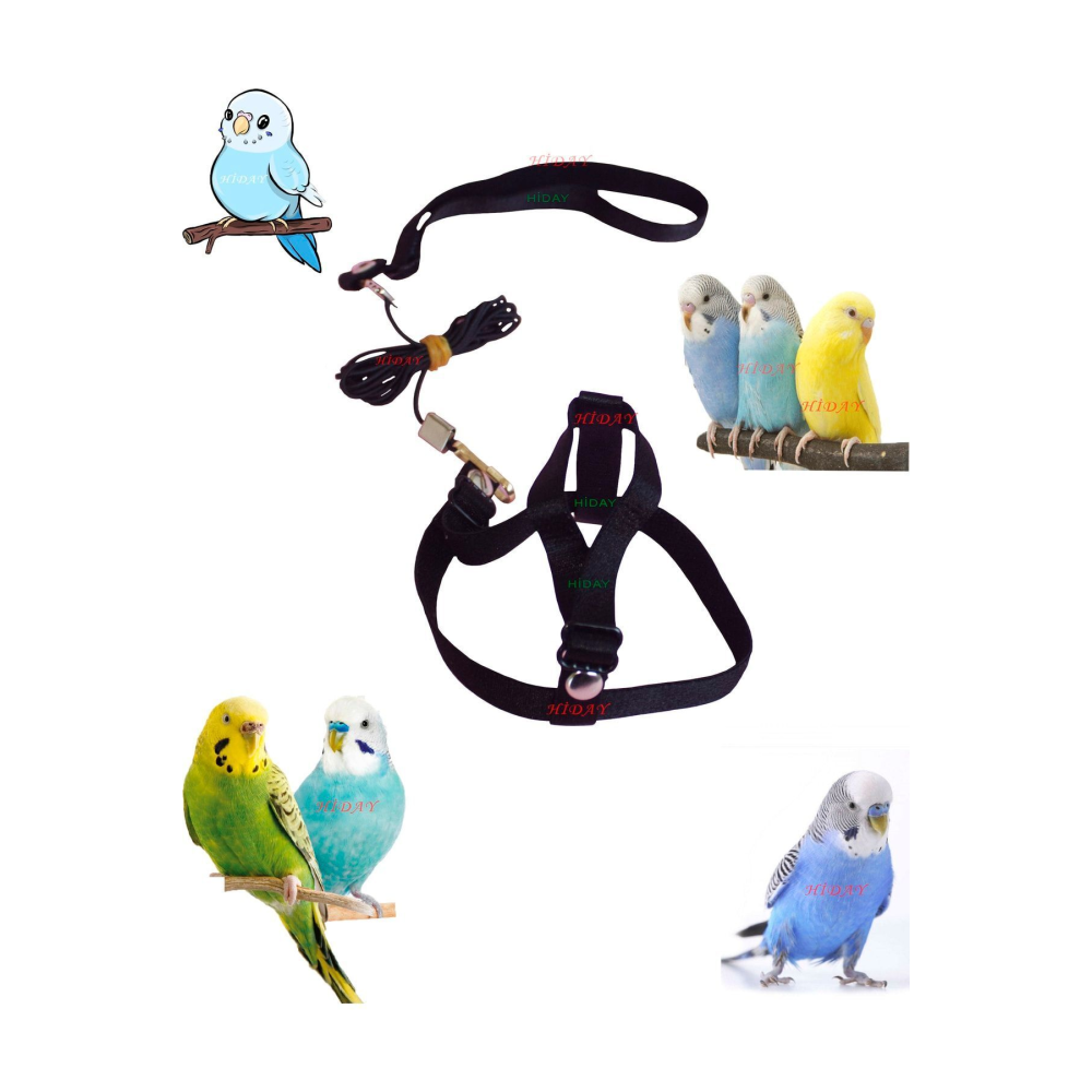 Muhabbet Kuşu Tasması Cennet Papağanı Tasması (SİYAH)