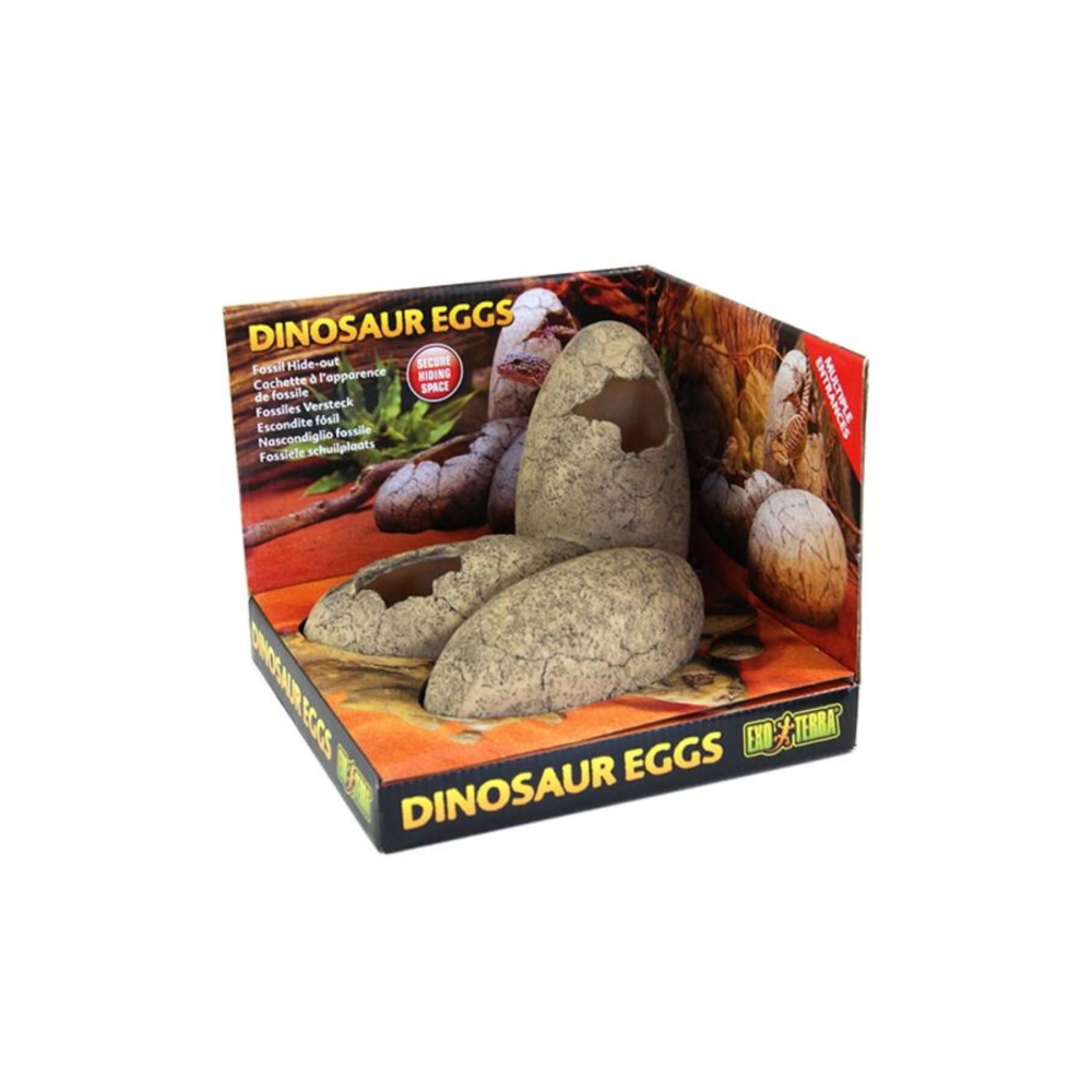 Dinazor Yumurtası Şekilli Yuva