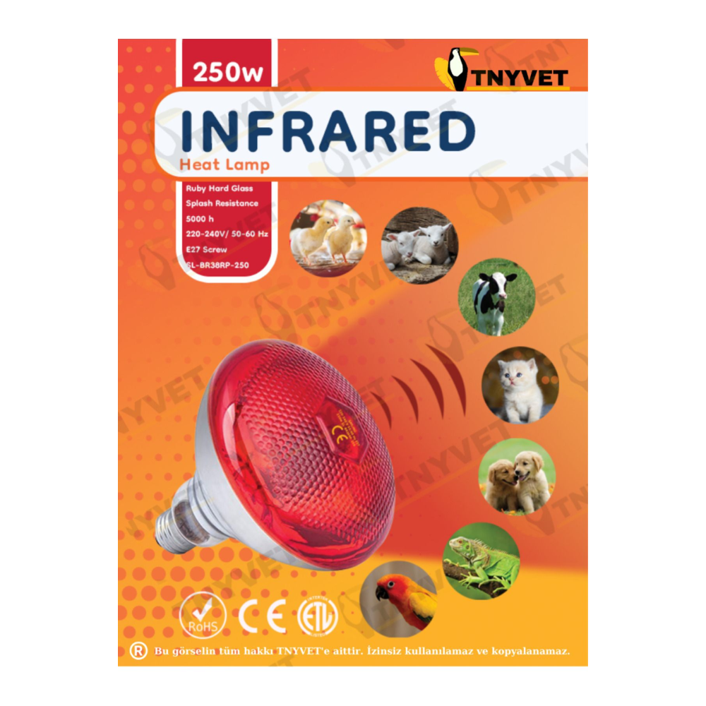 TANAY INFRARED ISITICI LAMBA - AMPUL / 1 PORSELEN DUY HEDİYE