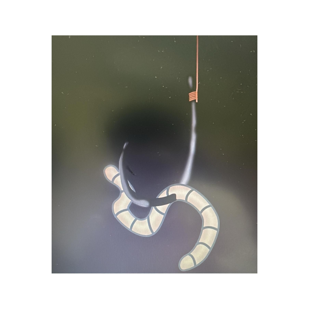 yem solucan çayır solucanı ( olta balıkçılığı i İÇİN ) iri boy