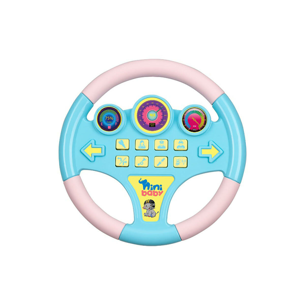 Erdem Oyuncak Nini Baby Direksiyon Eğitici Oyuncak
